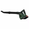 Souffleur Sans Fil Universal LeafBlower 18V-130 BOSCH VERT 1x2.5Ah - 06008C6001 -Jardin Soldes 4059952631578