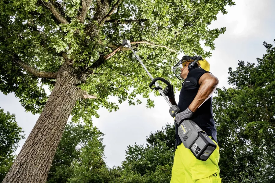 Perche élagueuse Interchangeable MT CS 250/36 KARCHER - Pour MT 36 Bp - 1.042-512.0 4 Perche élagueuse Interchangeable MT CS 250/36 KARCHER - Pour MT 36 Bp - 1.042-512.0 – Image 2