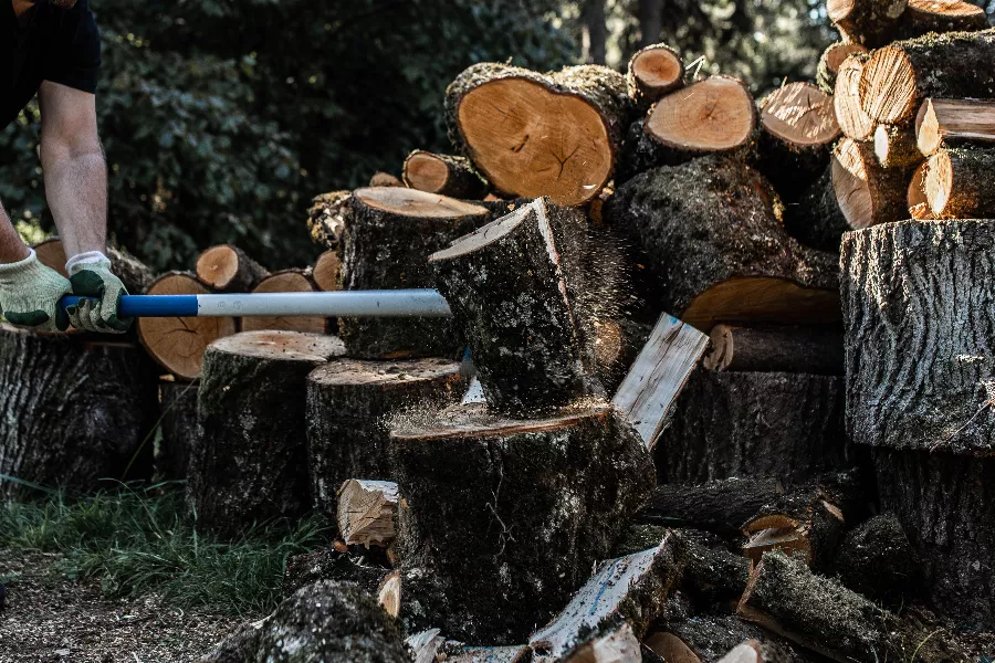 Merlin DC 3000 EM Tri Matière REVEX - 006927 3 Merlin DC 3000 EM Tri Matière REVEX - 006927