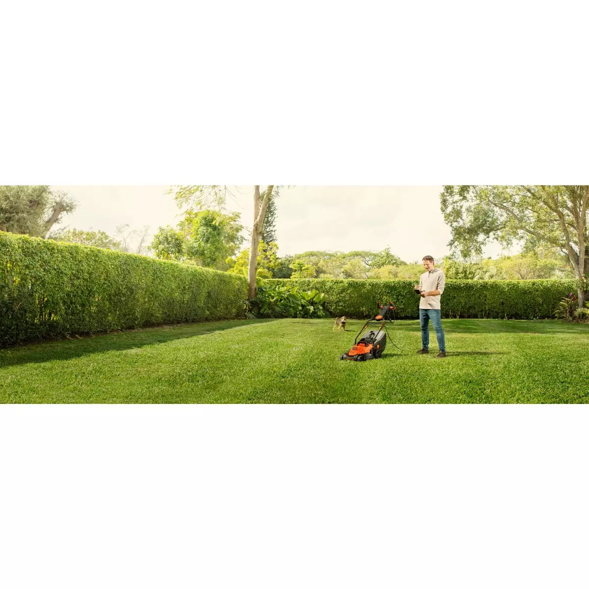 Black & Decker TONDEUSE 42CM 1800W EASYSTEER BLACK+DECKER - BEMW481ES-QS 14 Black & Decker TONDEUSE 42CM 1800W EASYSTEER BLACK+DECKER - BEMW481ES-QS – Image 12