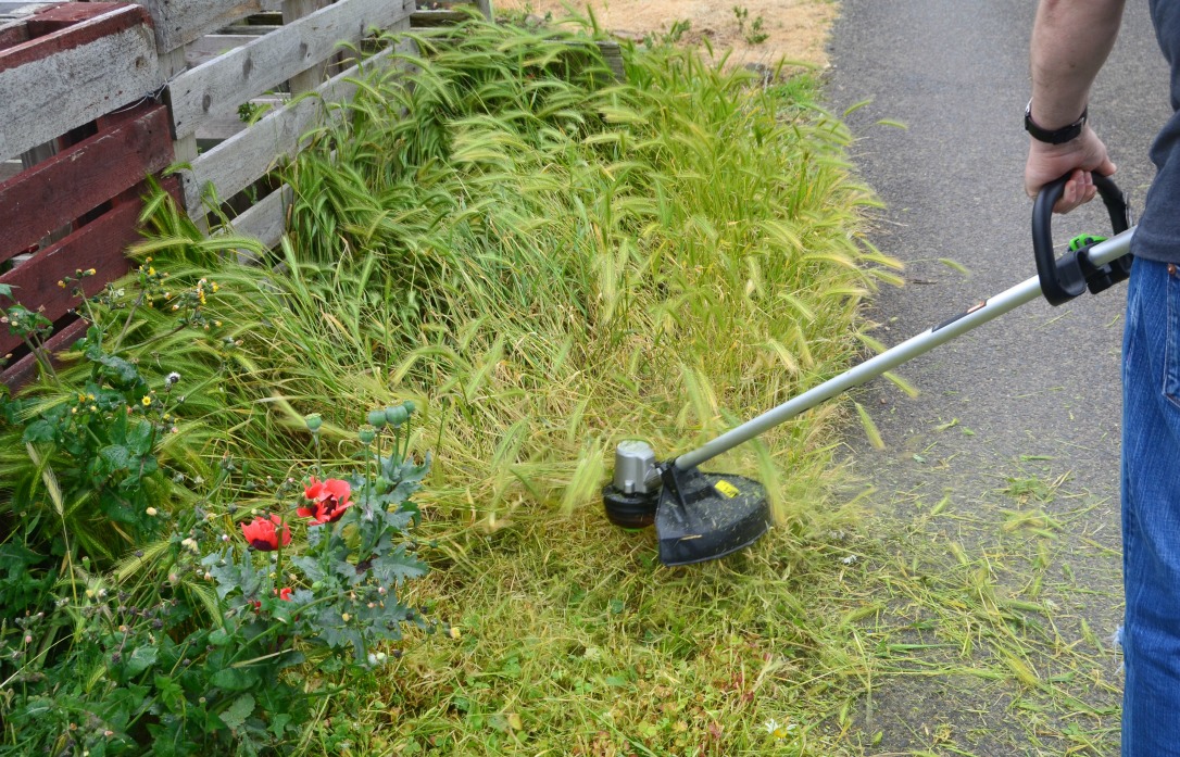 Jardin Soldes -Jardin Soldes strimmer allotment during
